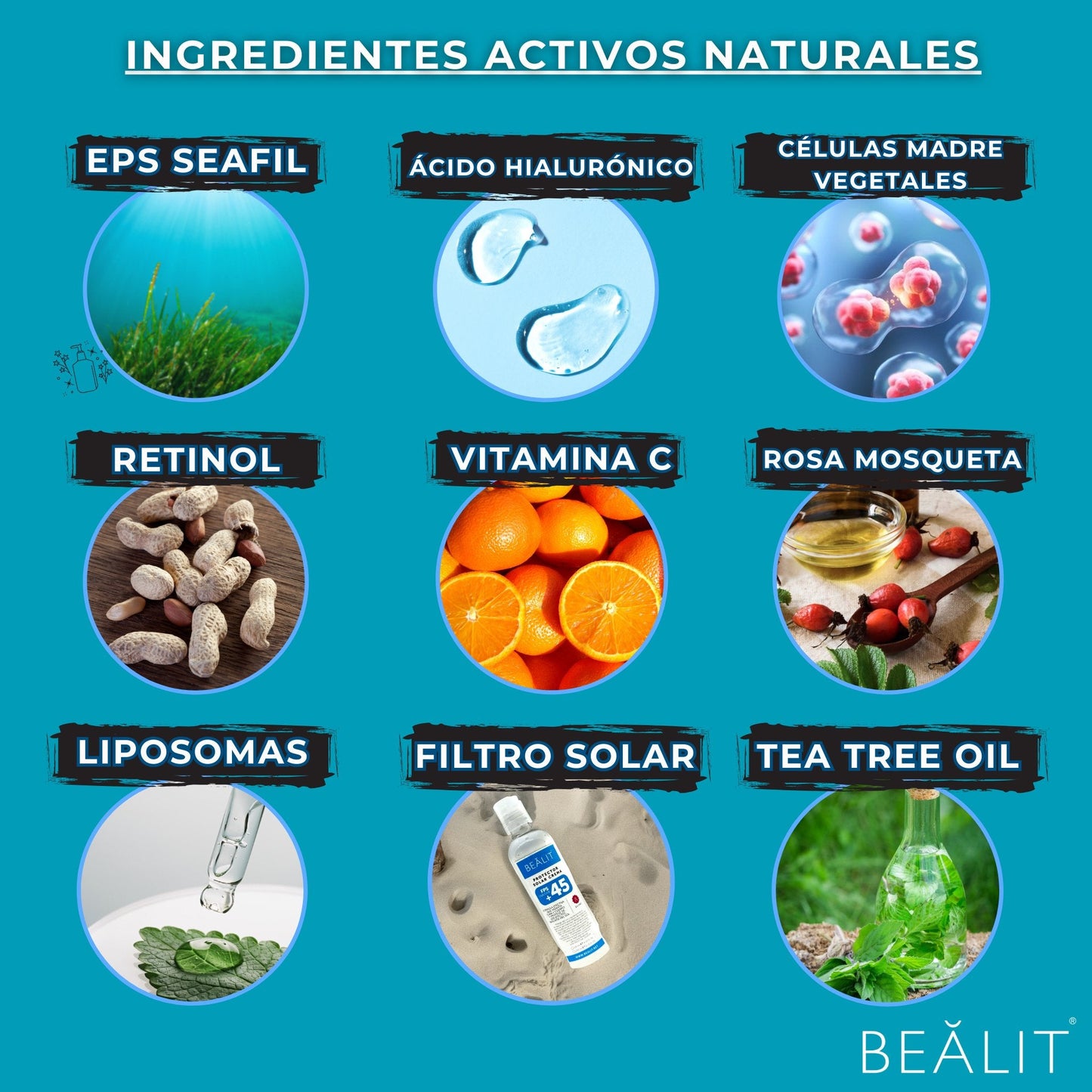 BIOTENSOR EPS SEAFIL - Bealit