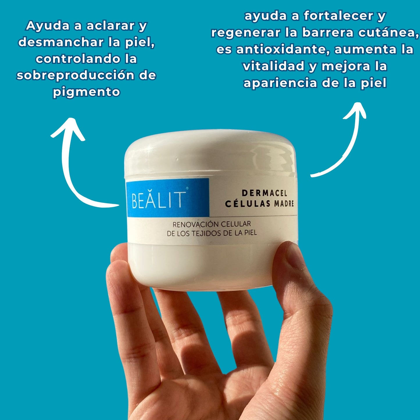 Kit Revitalizante Anti - Age - Bealit